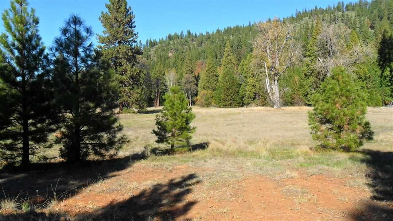 Quincy, Plumas County, CA Farms and Ranches for sale Property ID