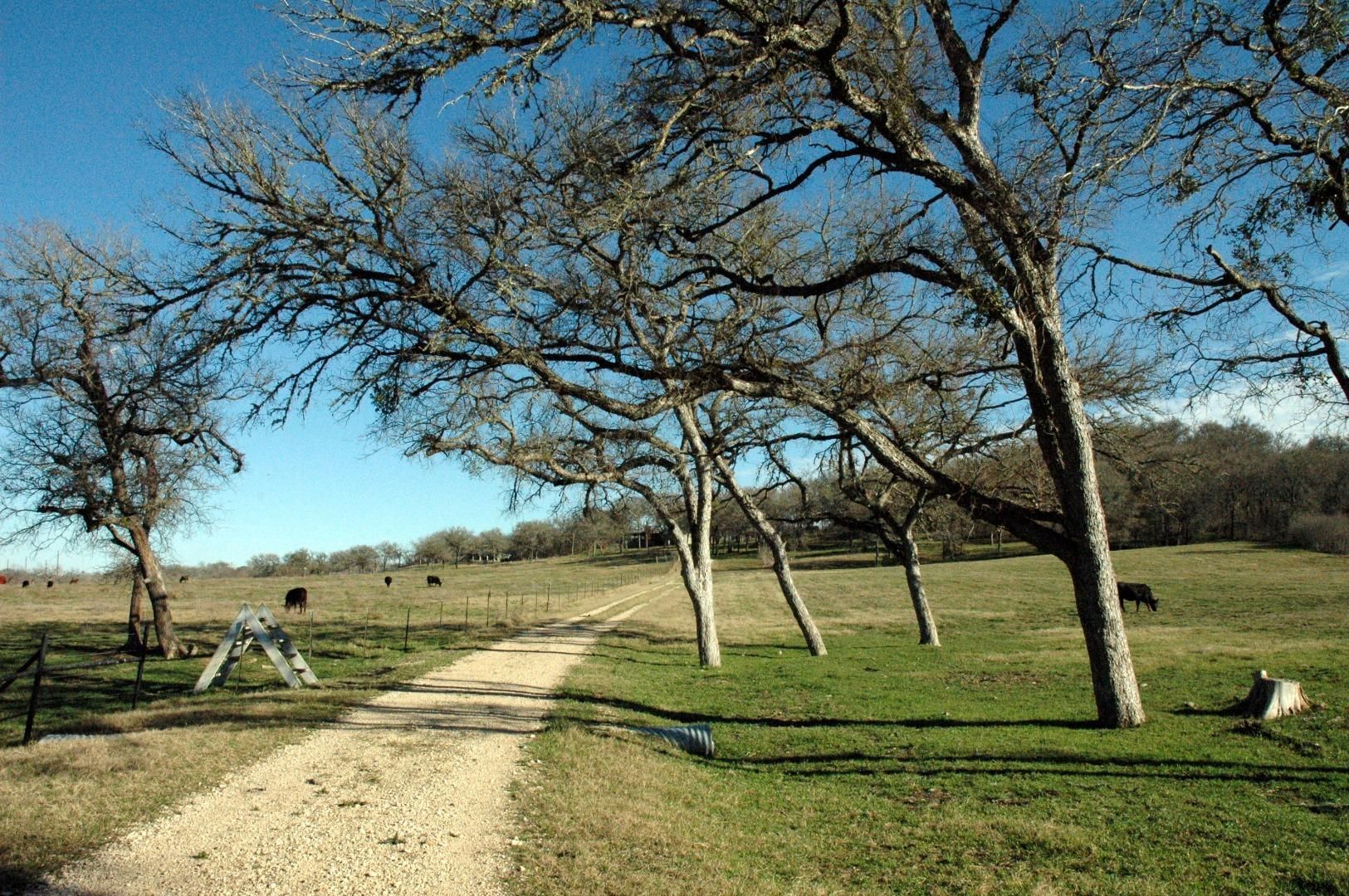 Lockhart, Caldwell County, TX Farms and Ranches, House for sale