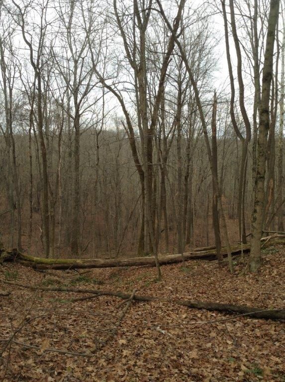 Glouster, Athens County, OH Farms and Ranches for sale Property ID 401057636 LandWatch