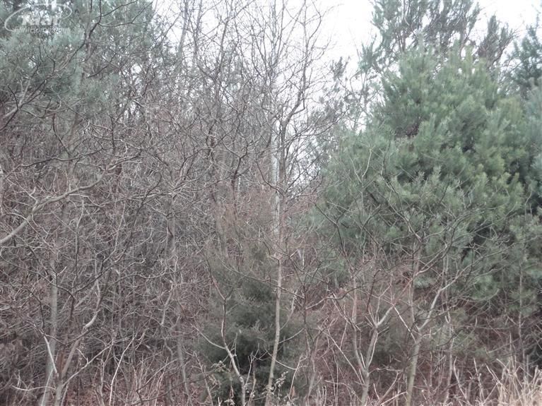 Montrose, Saginaw County, MI Farms and Ranches, House for sale Property