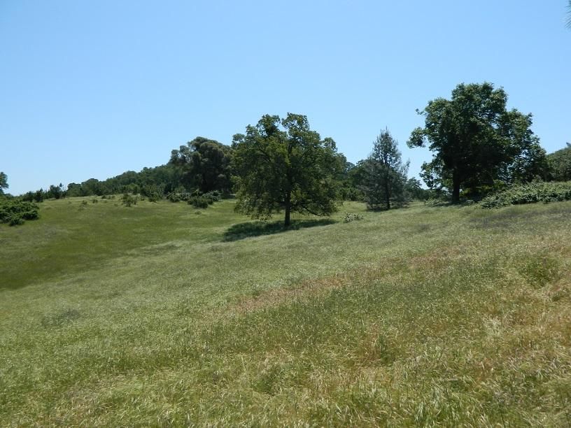 Shingle Springs, El Dorado County, CA Farms and Ranches for sale