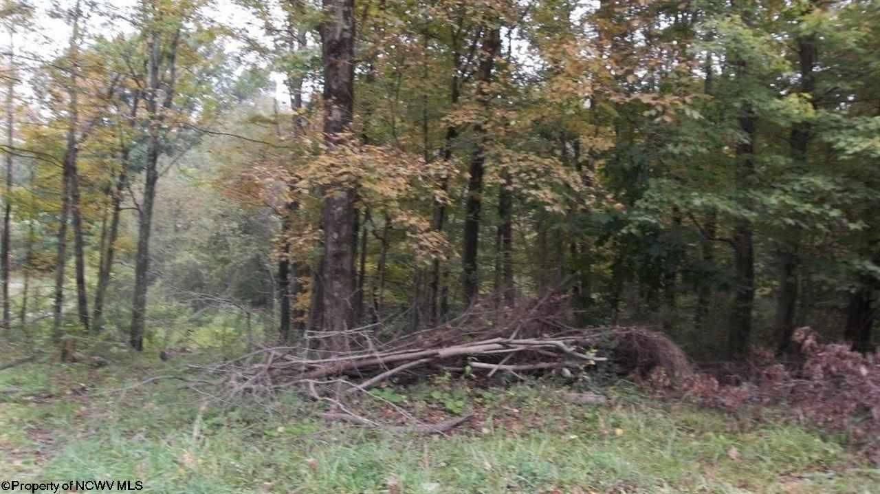 Century, Barbour County, WV Farms and Ranches, Homesites for sale Property ID 400963200 LandWatch