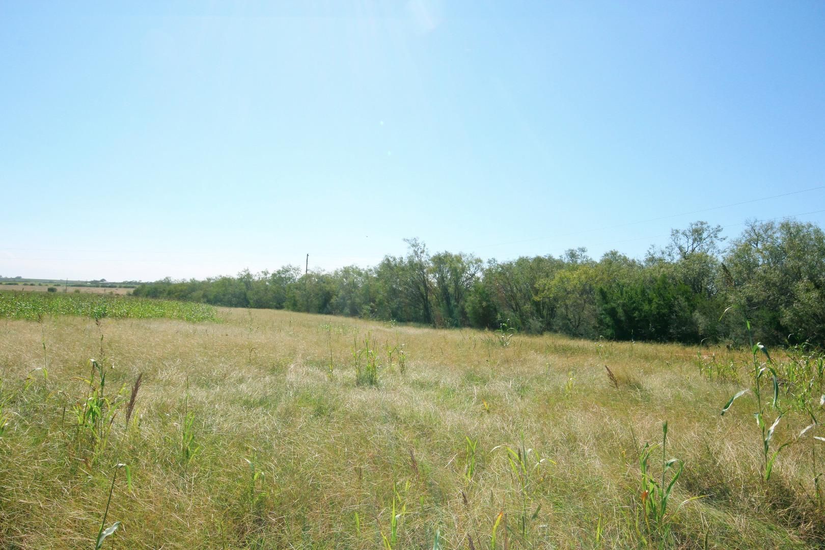 Poth, Wilson County, TX Farms and Ranches for sale Property ID