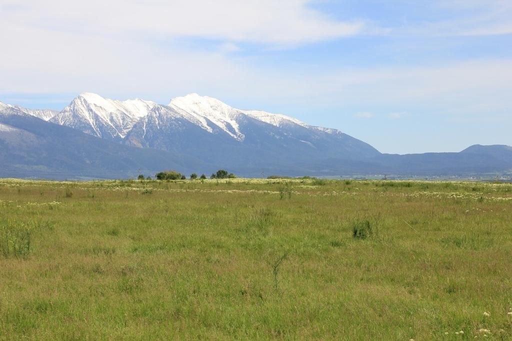 Charlo, Lake County, MT Farms and Ranches for sale Property ID