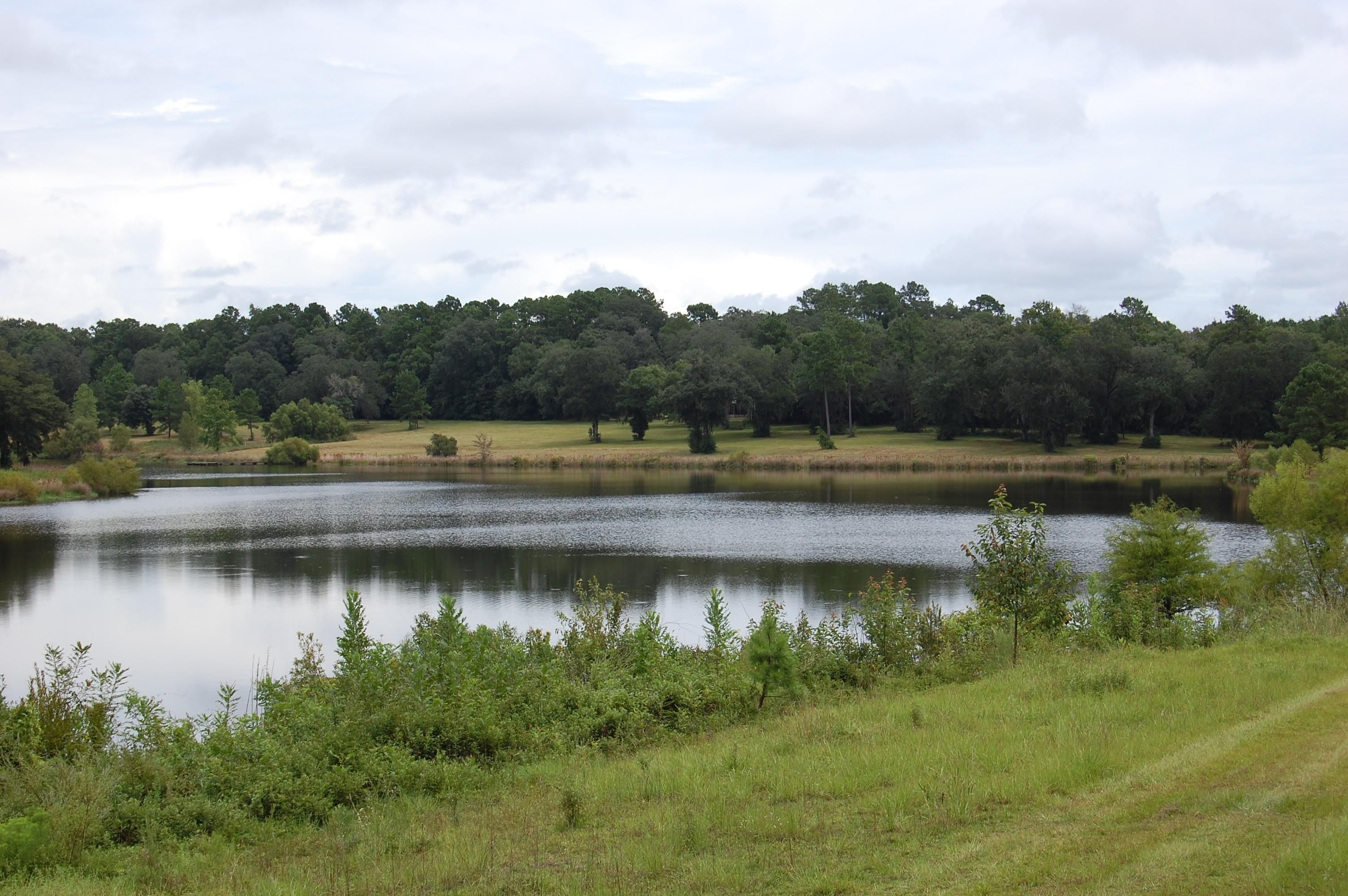 Havana, Gadsden County, FL Recreational Property, Lakefront Property