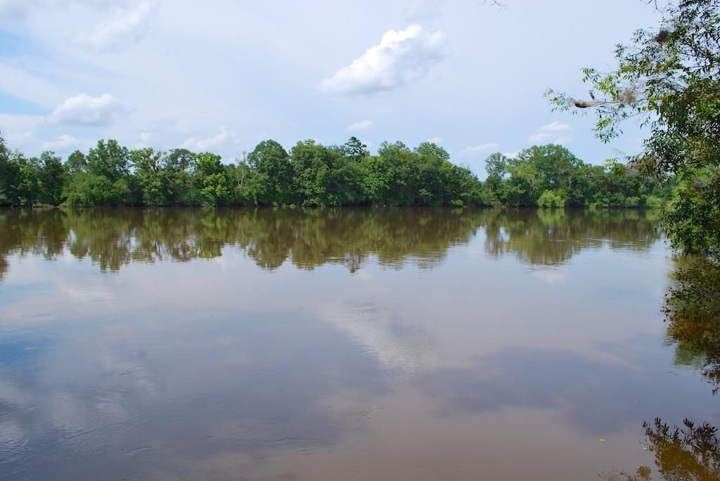 Surrency, Appling County, GA Recreational Property, Riverfront Property