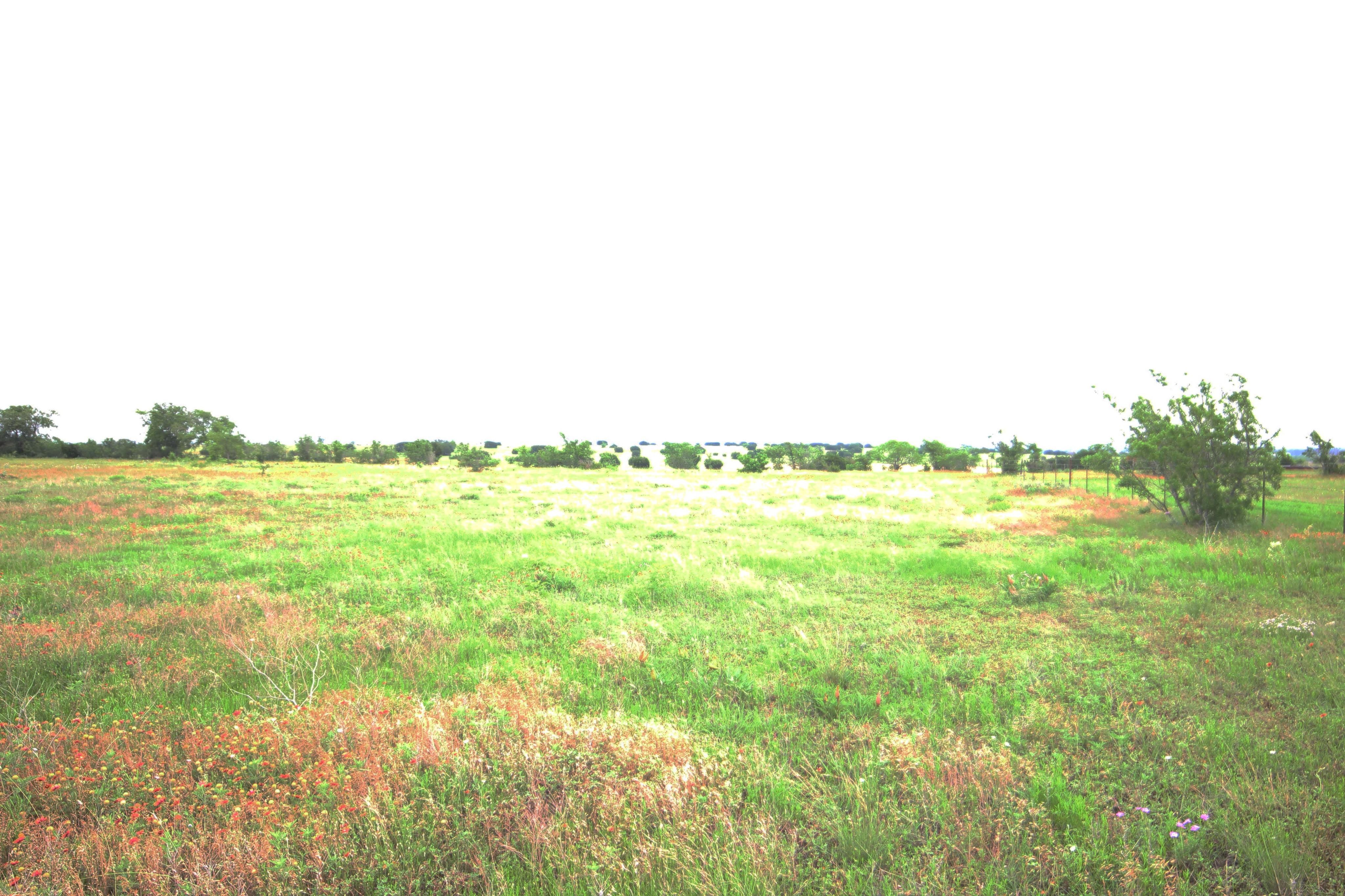 Valley Mills, Bosque County, TX Farms and Ranches for sale Property ID