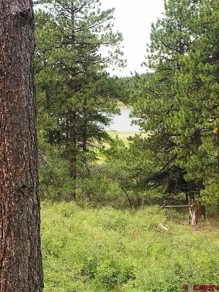 Mancos, Montezuma County, CO Farms and Ranches, House for sale Property ID 400909810 LandWatch