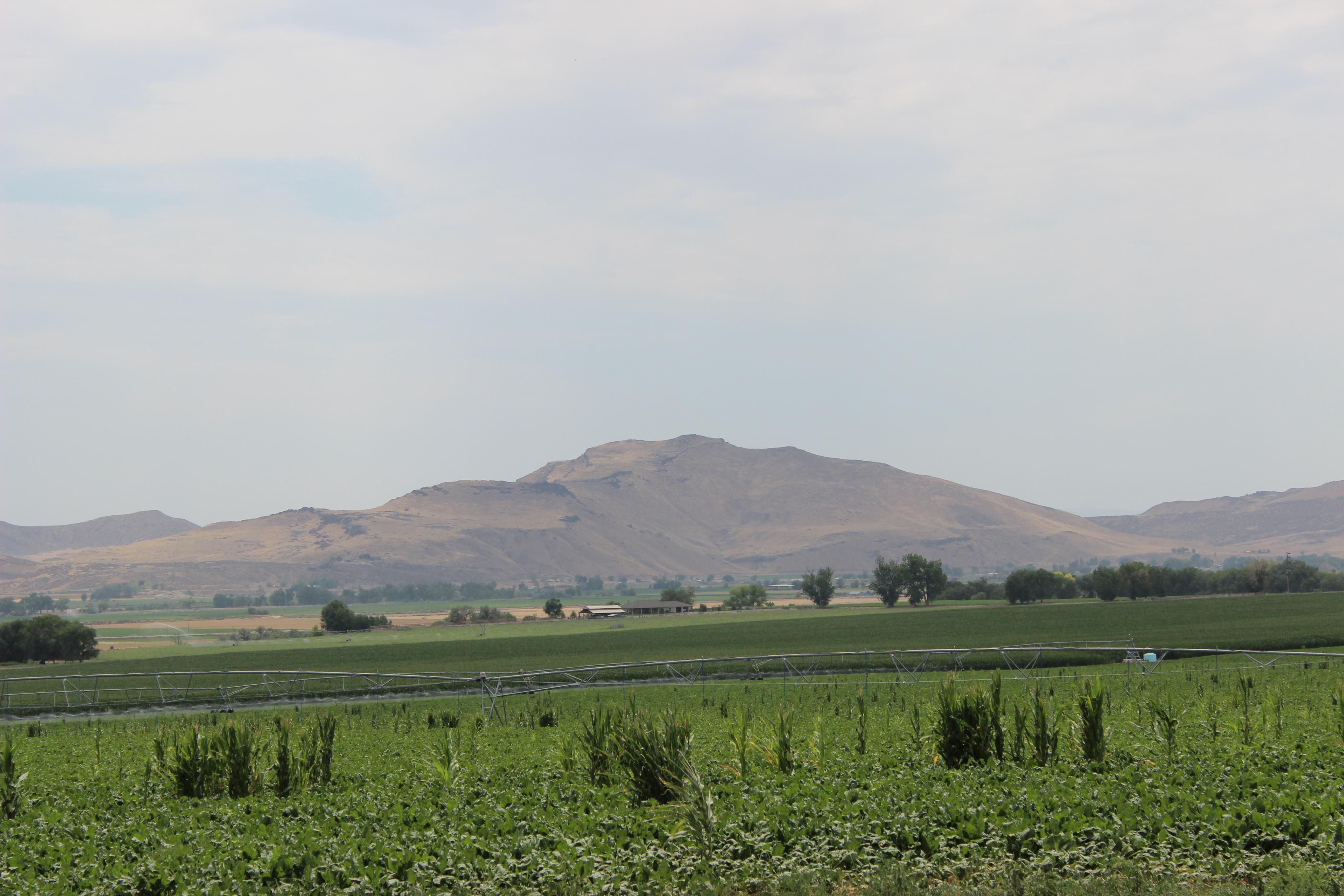 Vale, Malheur County, OR Farms and Ranches, House for sale Property ID