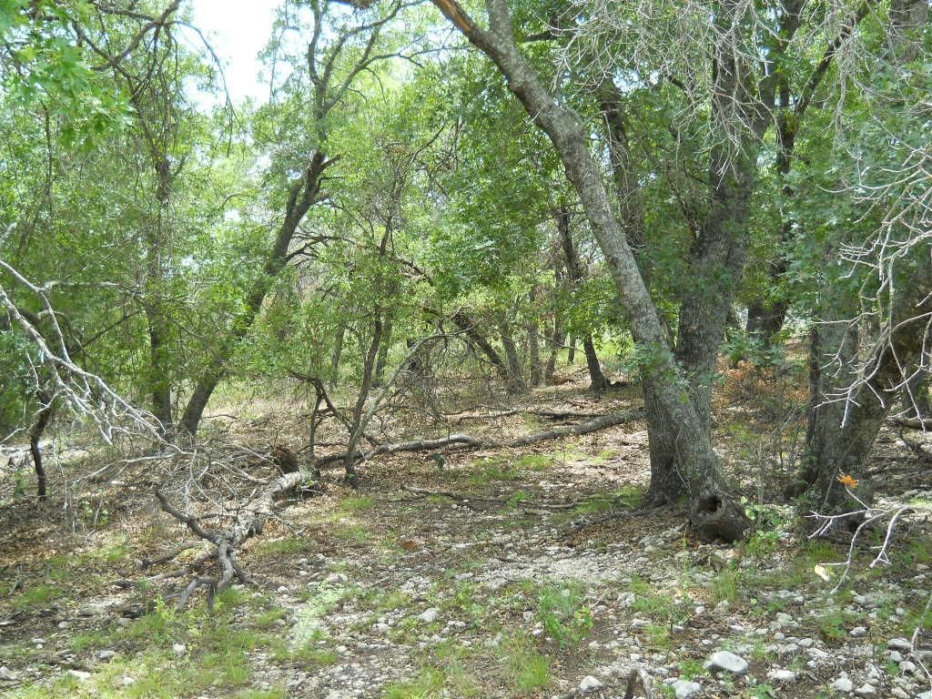 Coleman, Coleman County, TX Farms and Ranches for sale Property ID 400901881 LandWatch