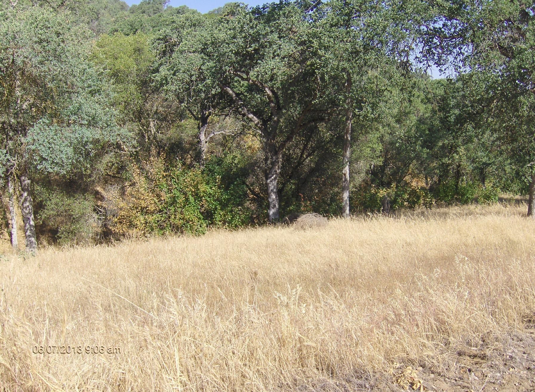 Squaw Valley, Fresno County, CA Farms and Ranches, Homesites for sale