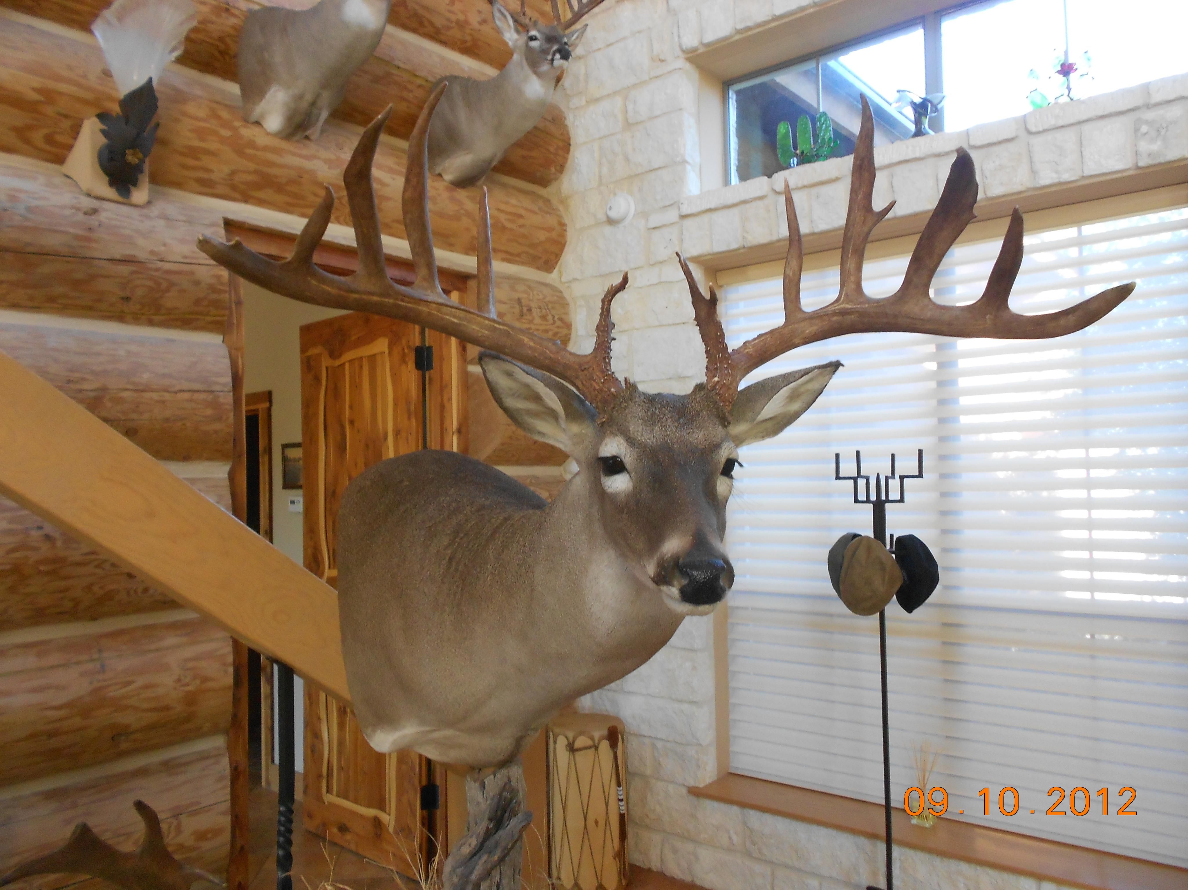 Cotulla, La Salle County, TX Farms and Ranches, House for sale Property