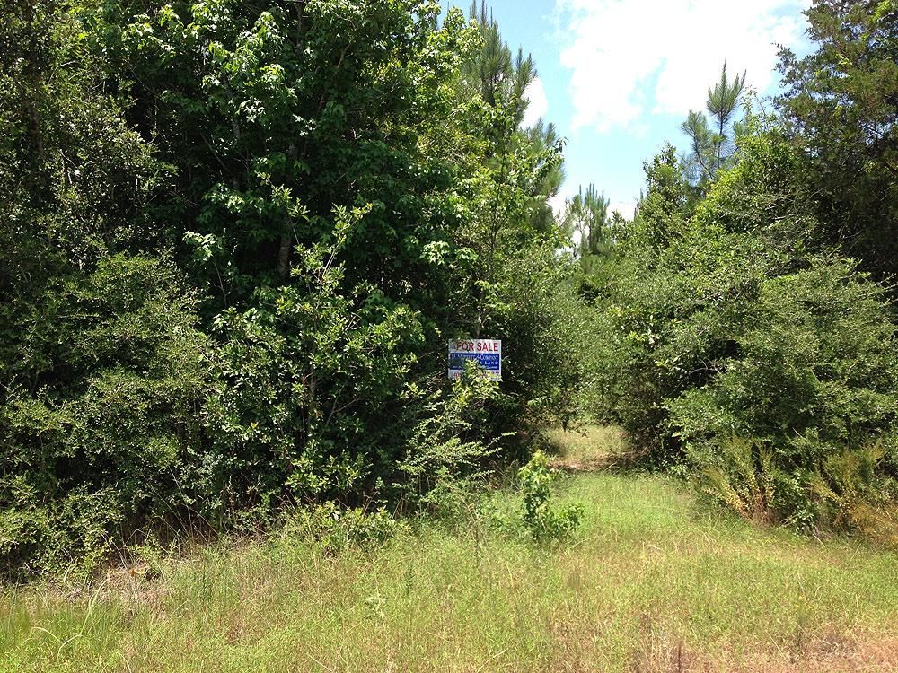 Spurger, Tyler County, TX Farms and Ranches for sale Property ID