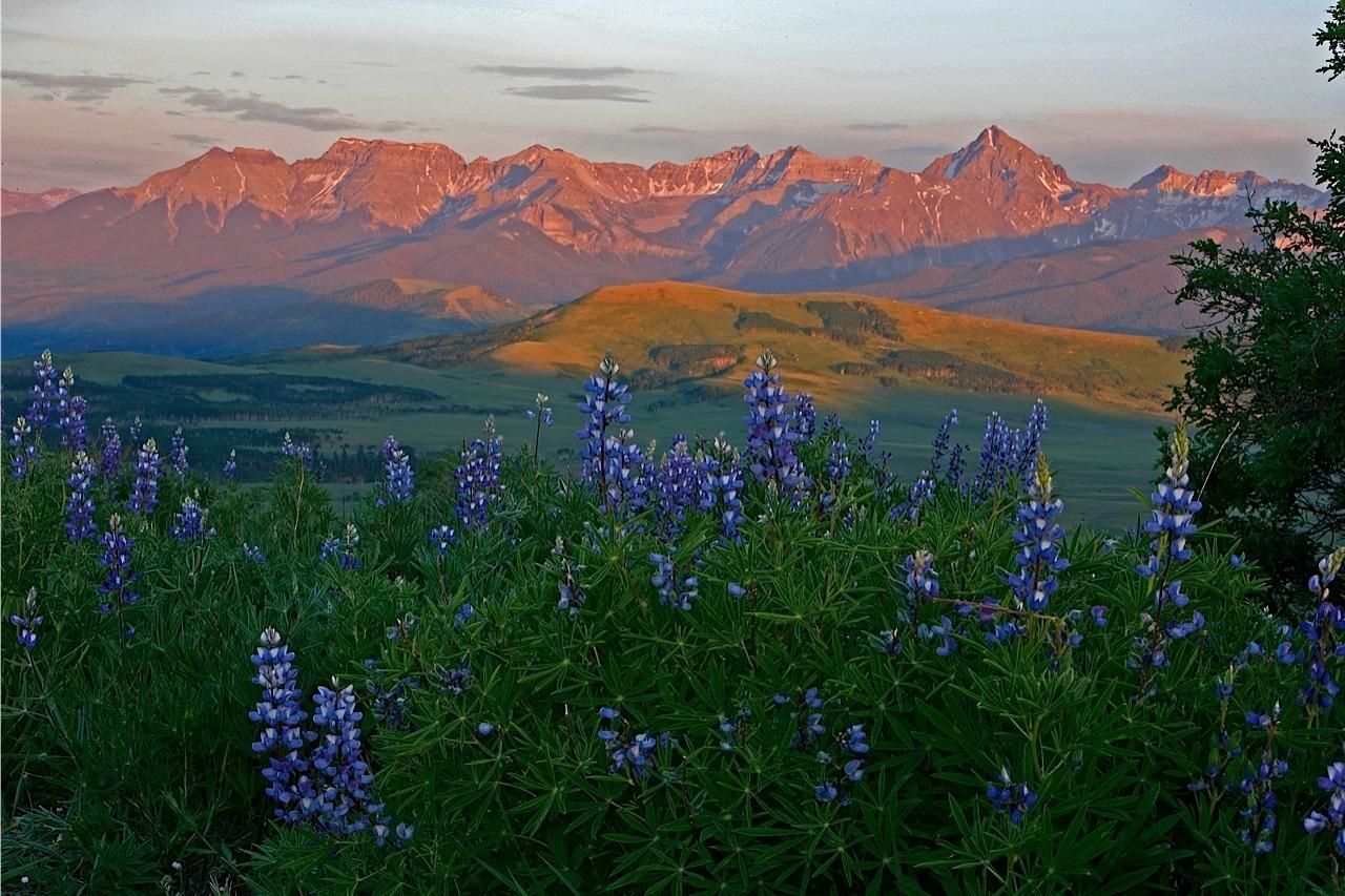 Placerville, San Miguel County, CO Farms and Ranches for sale Property