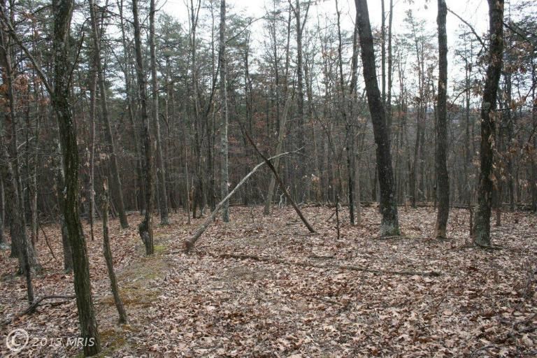 Winchester, Frederick County, VA Farms and Ranches for sale Property ID