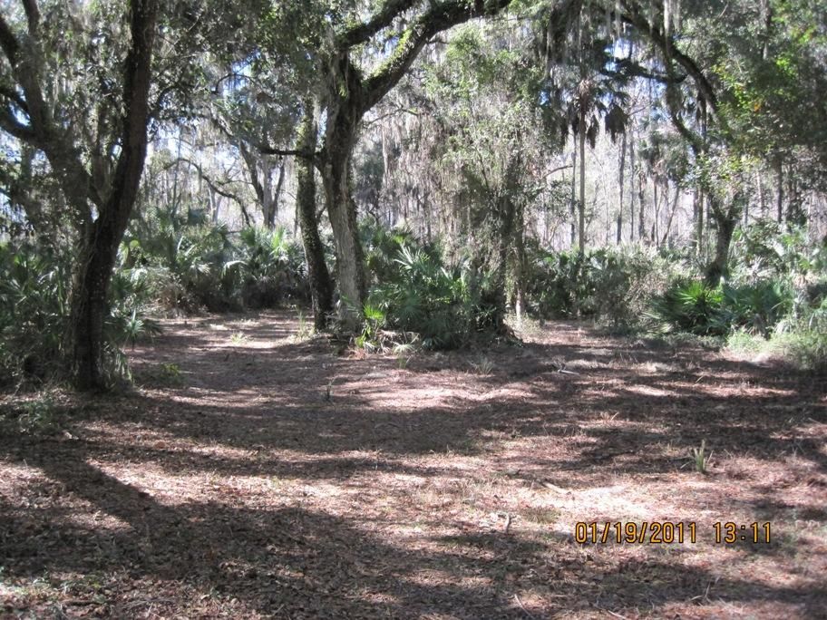 Lake Panasoffkee, Sumter County, FL Farms and Ranches for sale Property