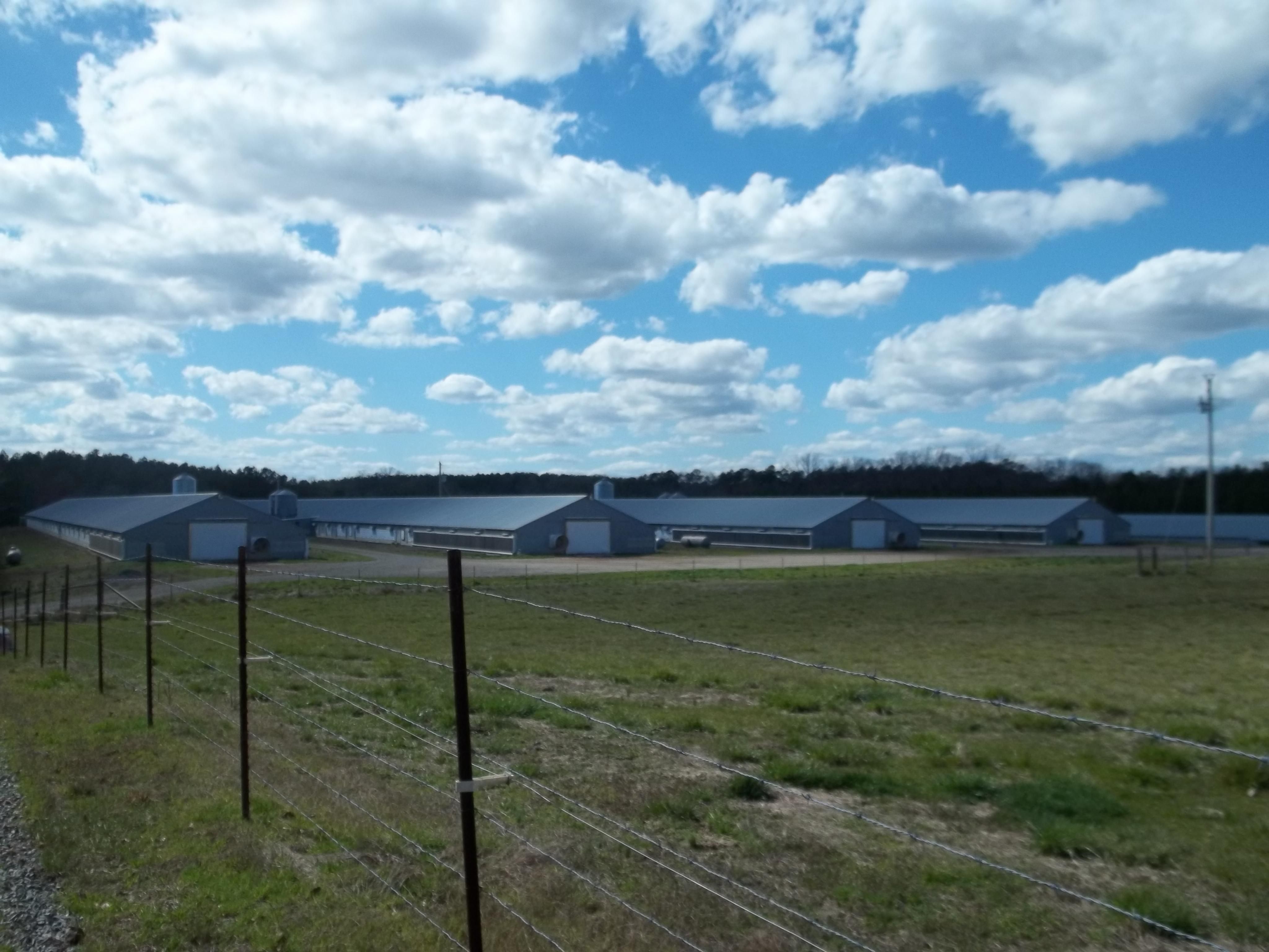 Peachland, Anson County, NC Farms and Ranches for sale Property ID