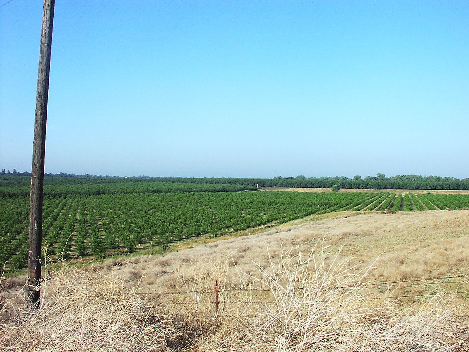 Clements, San Joaquin County, CA Farms and Ranches, Homesites for sale