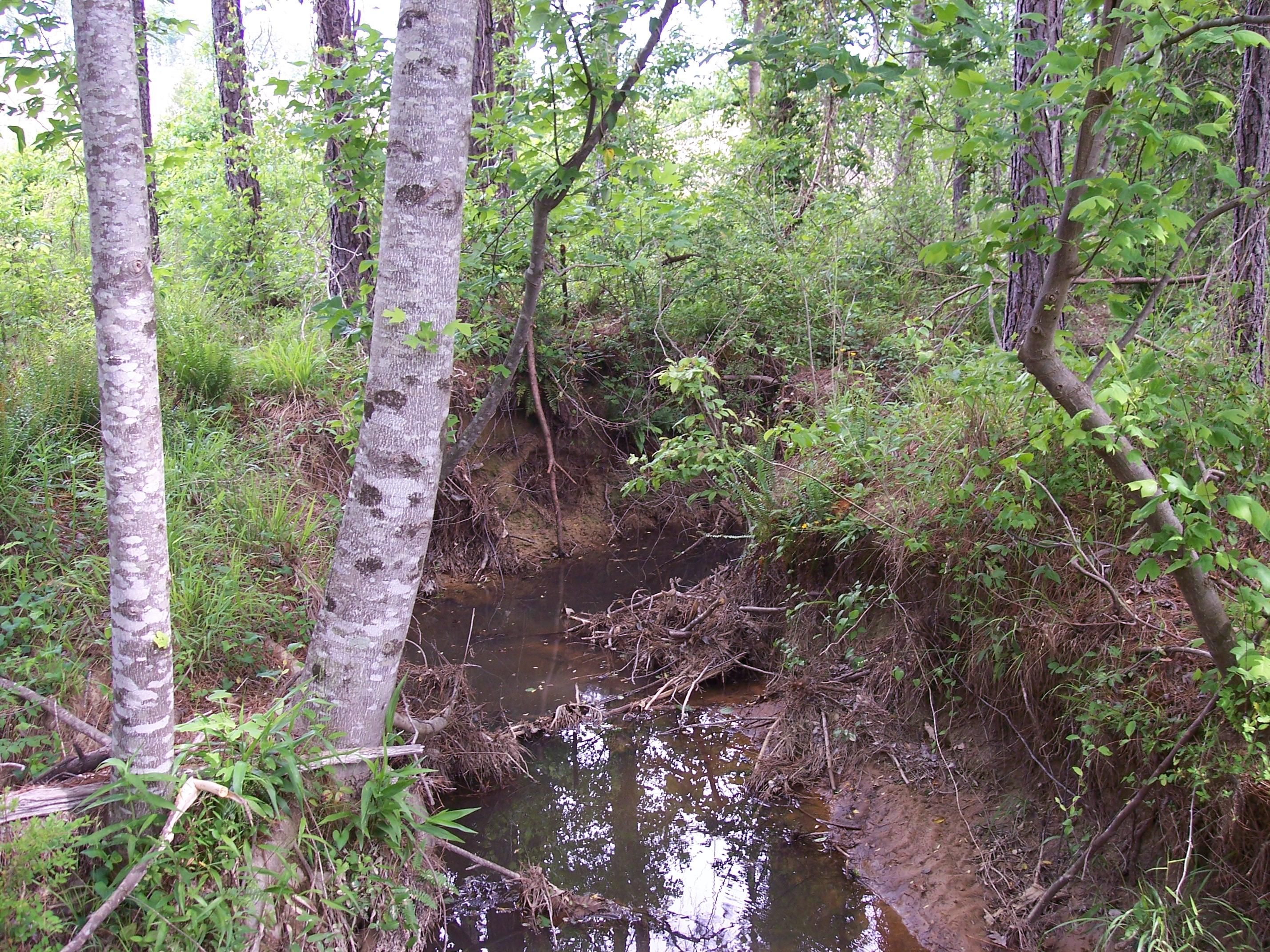 Vernon, Lamar County, AL Farms and Ranches for sale Property ID 400607426 LandWatch