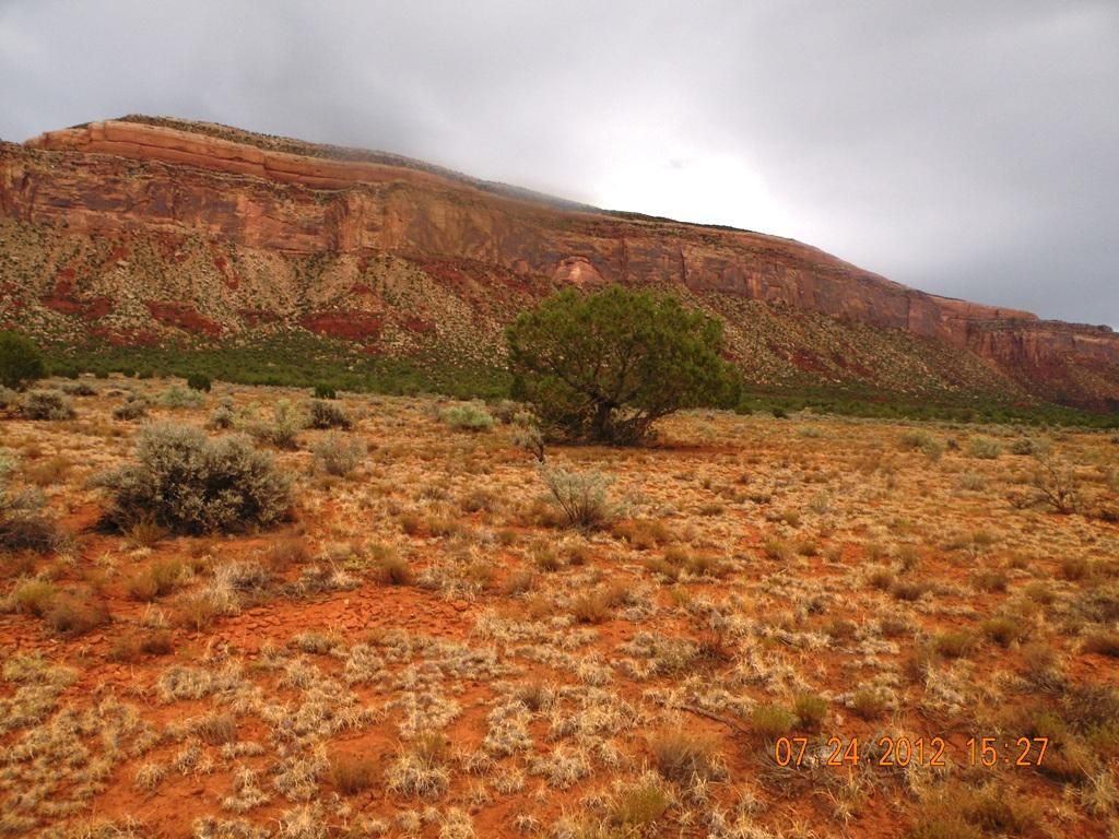 Paradox, Montrose County, CO Farms and Ranches for sale Property ID