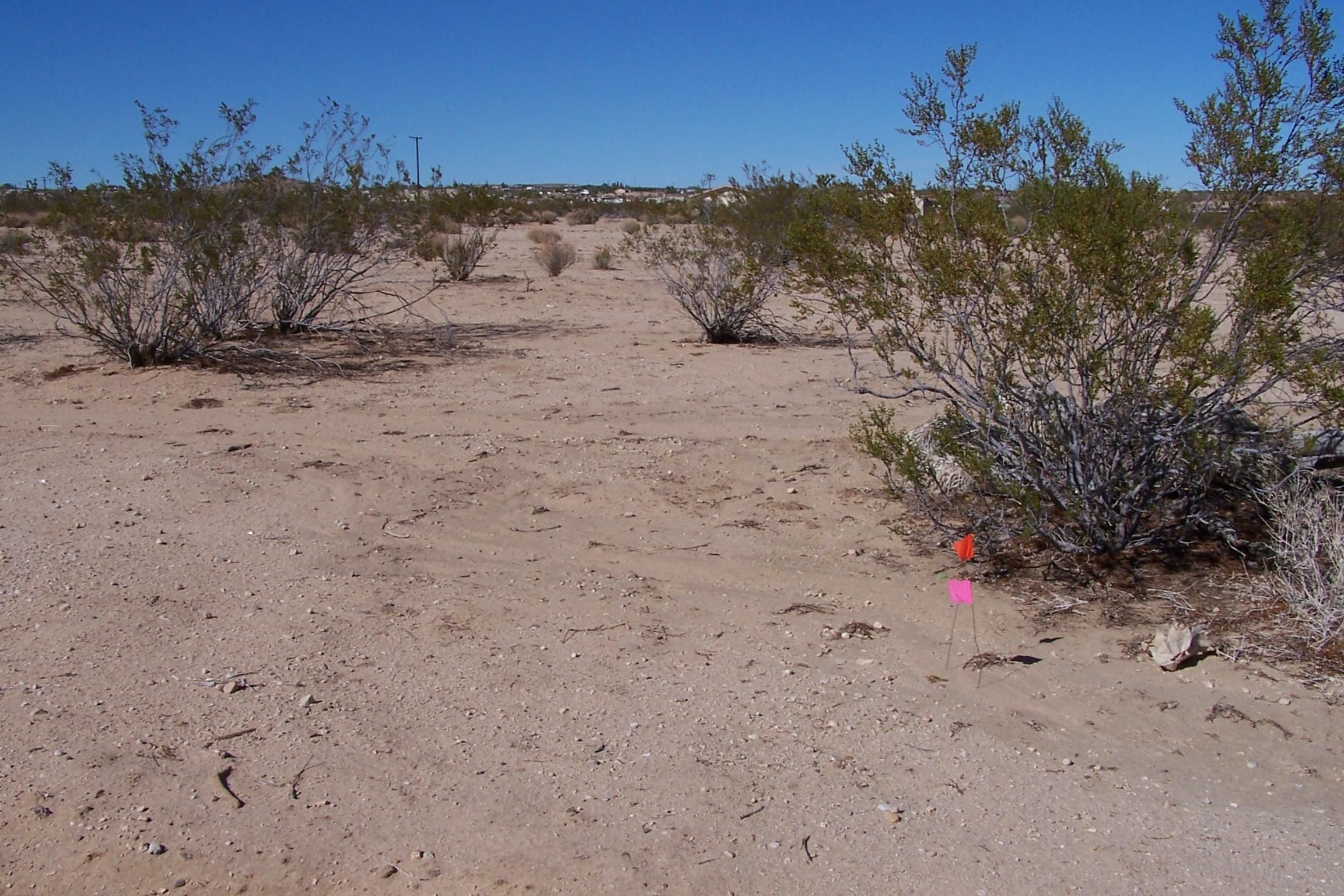 Joshua Tree, San Bernardino County, CA Farms and Ranches, Homesites for