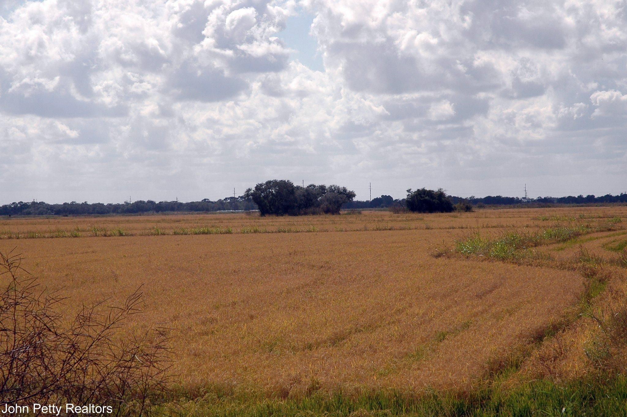 El Campo, Wharton County, TX Farms and Ranches for sale Property ID