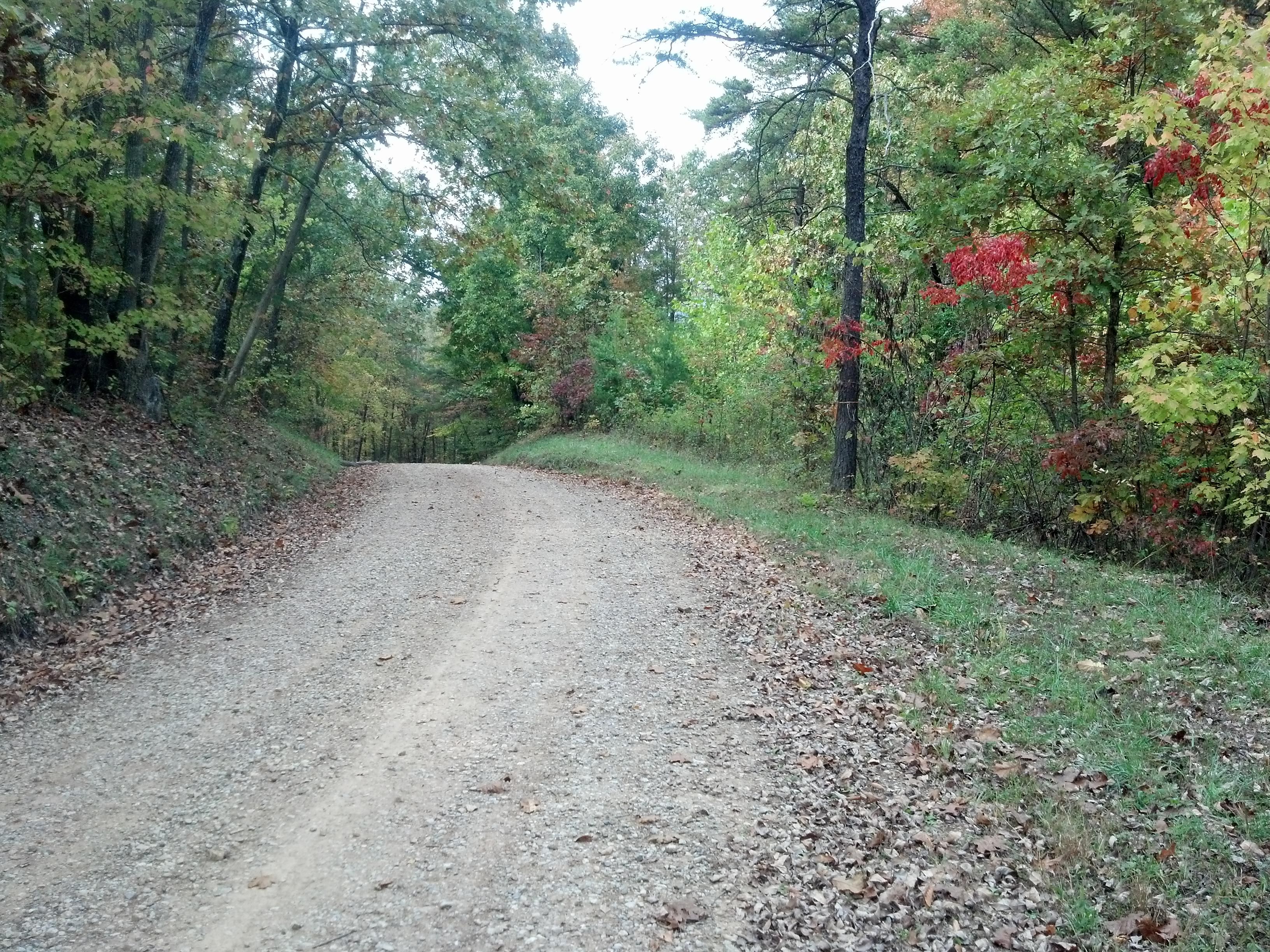 Patriot, Gallia County, OH Farms and Ranches for sale Property ID