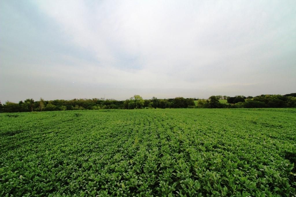 Sedalia, Pettis County, MO Farms and Ranches for sale Property ID 400562486 LandWatch