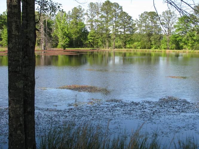 Evergreen, Conecuh County, AL Recreational Property, Lakefront Property