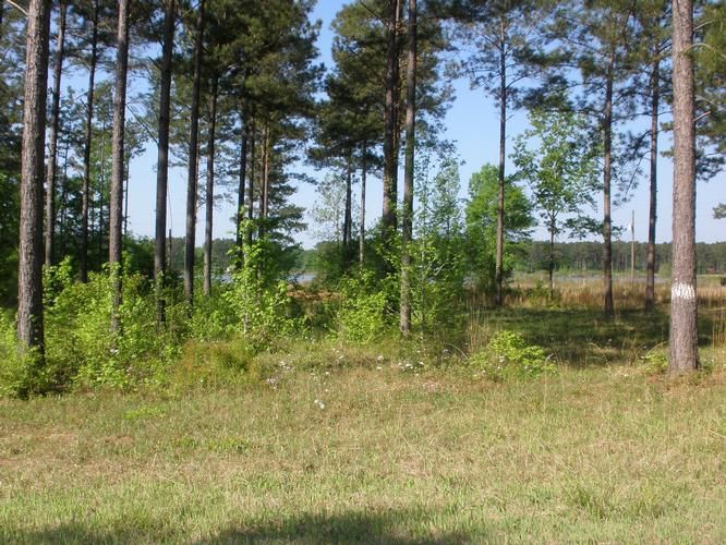 Pachuta, Jasper County, MS Recreational Property, Lakefront Property