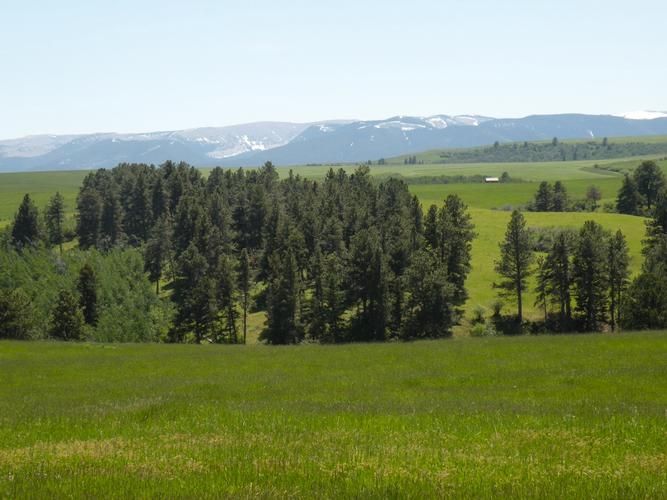 Lewistown, Fergus County, MT Farms and Ranches, House for sale Property