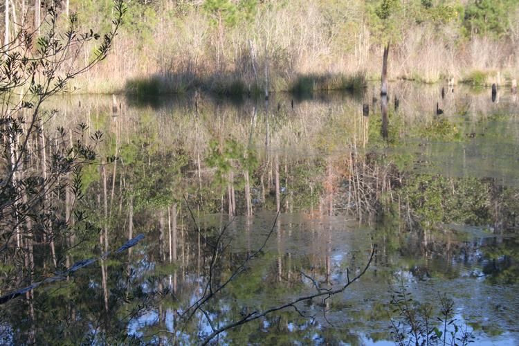 Gretna, Gadsden County, FL Farms and Ranches for sale Property ID