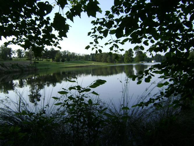 Flat Rock, Jackson County, AL Farms and Ranches for sale Property ID 400484679 LandWatch