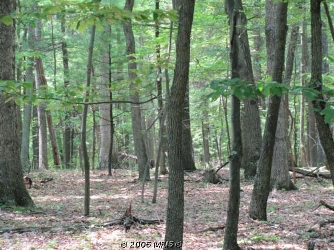 Bloomery, Hampshire County, WV Farms and Ranches, Homesites for sale