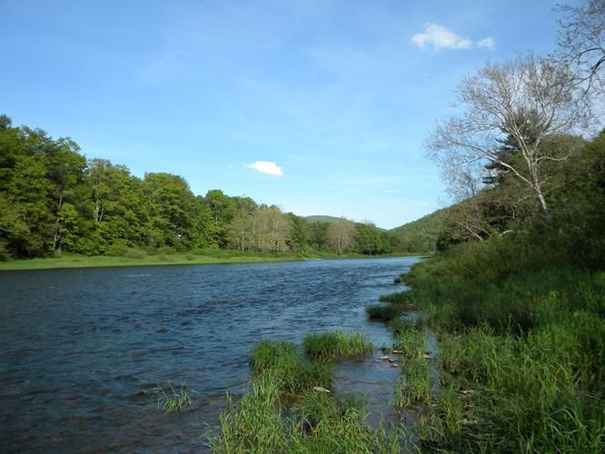 Hancock, Delaware County, NY Recreational Property, Riverfront Property