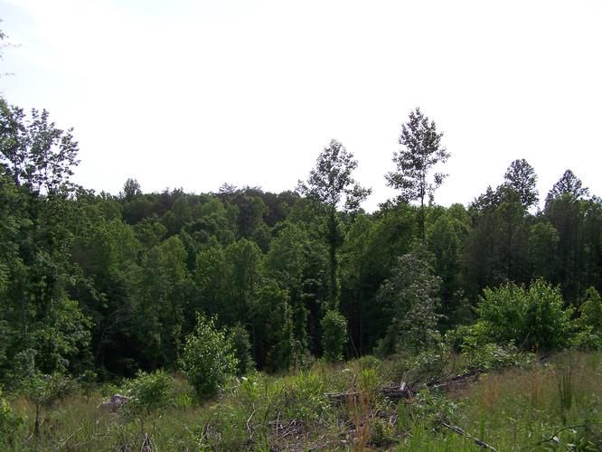 Axton, Pittsylvania County, VA Farms and Ranches for sale Property ID