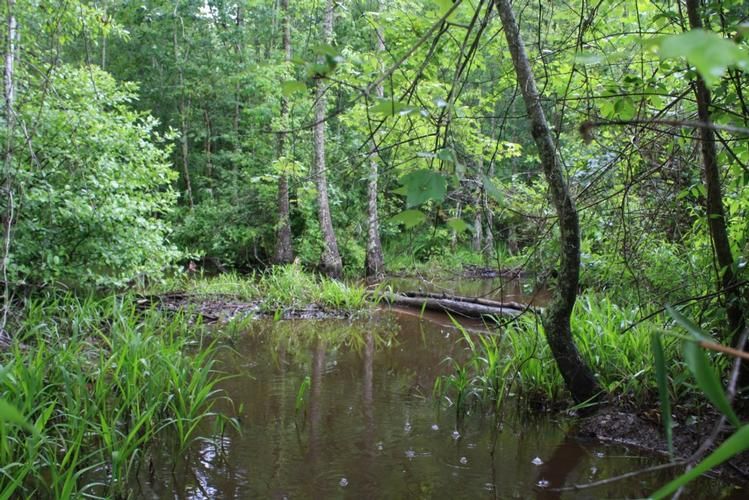 Sandersville, Washington County, GA Farms and Ranches for sale Property