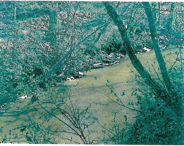 Hatchechubbee, Russell County, AL Farms and Ranches for sale Property