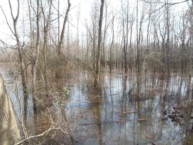 Big Sandy, Henry County, TN Farms and Ranches for sale Property ID