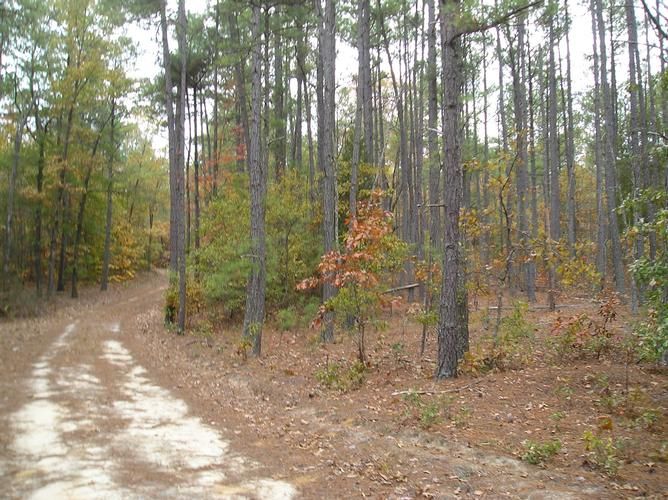 Mckenney, Dinwiddie County, VA Farms and Ranches for sale Property ID