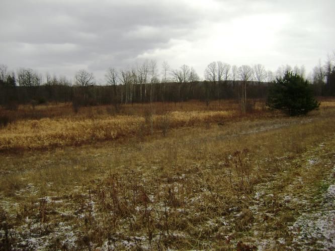 Turin, Lewis County, NY Farms and Ranches for sale Property ID 400394880 LandWatch