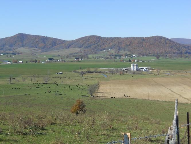 7458 Burkes Garden Road, Burkes Garden, VA 24651 LandWatch