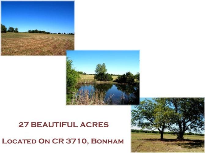 Bonham, Fannin County, TX Farms and Ranches for sale Property ID