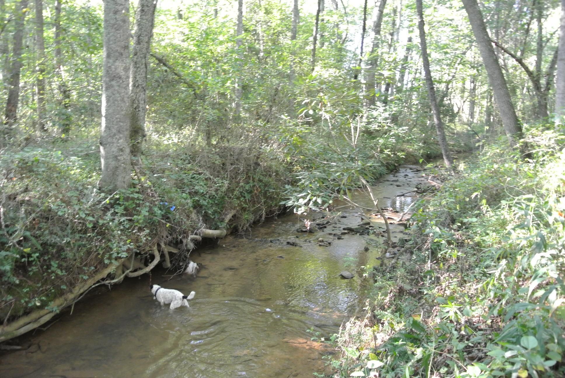 Pilot Mountain, Surry County, NC Recreational Property, Timberland