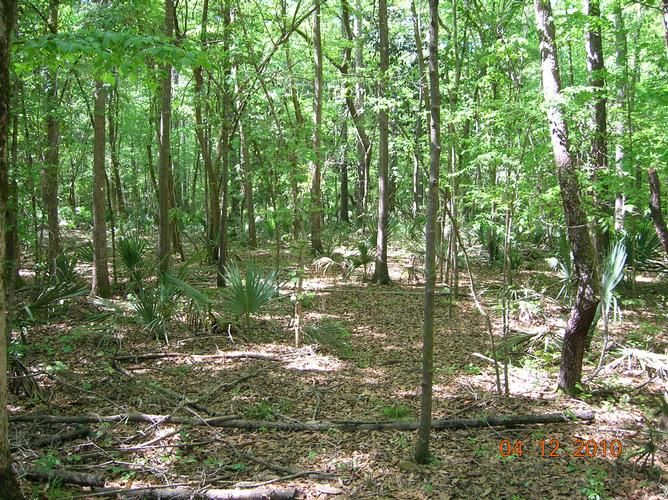 Chattahoochee, Gadsden County, FL Farms and Ranches for sale Property