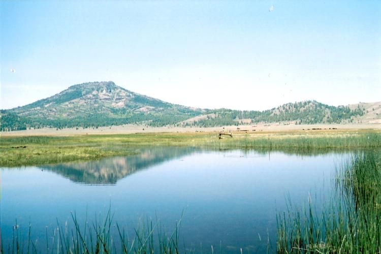 Beckwourth, Plumas County, CA Farms and Ranches for sale Property ID