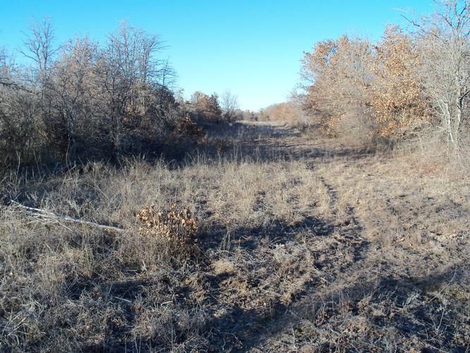 Cisco, Eastland County, TX Farms and Ranches for sale Property ID