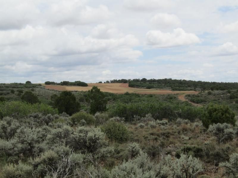 Dove Creek, Dolores County, CO Farms and Ranches, Recreational Property