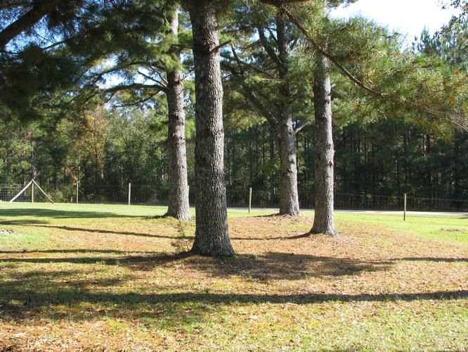 7 acres in Repton, AL, 36475 LandWatch