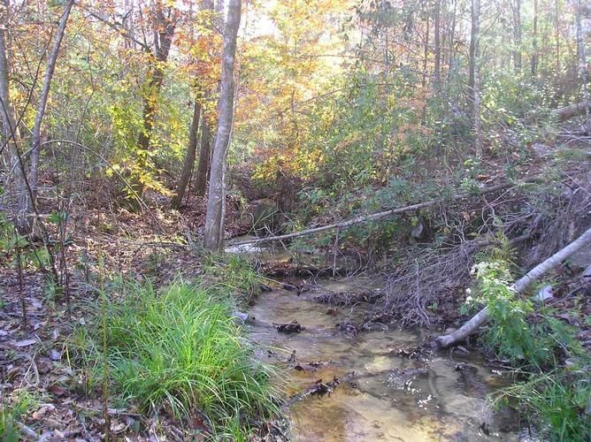 Beatrice, Monroe County, AL Farms and Ranches for sale Property ID
